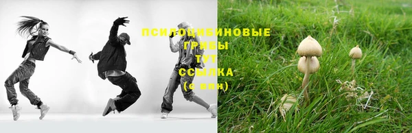 PSILOCYBIN Беломорск