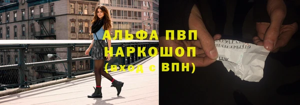 СК Балахна