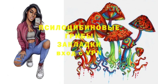 СК Балахна