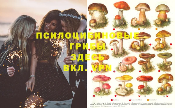 jwh Михайлов