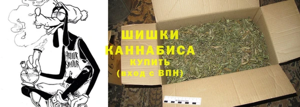 СК Балахна
