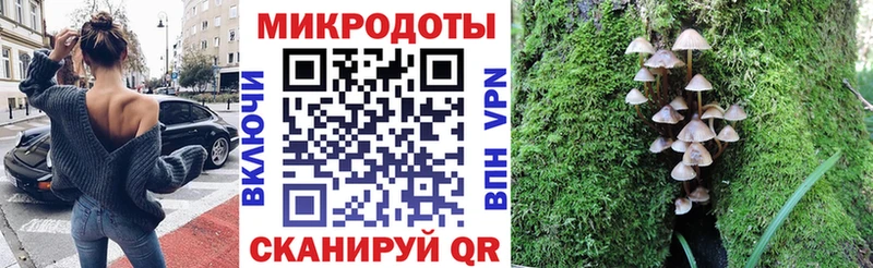 Псилоцибиновые грибы GOLDEN TEACHER  Красноармейск 
